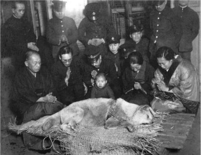 Tokyo Residents Mourning Hachiko. He Would Regularly Meet His Owner, Professor Ueno, At Shibuya Station After He Returned From Work. Sadly, Ueno Died On May 21, 1925 & Never Returned. However, Hachiko Would Return To The Station Every Day For 9 Years, Waiting For Him To Come Back, 1935