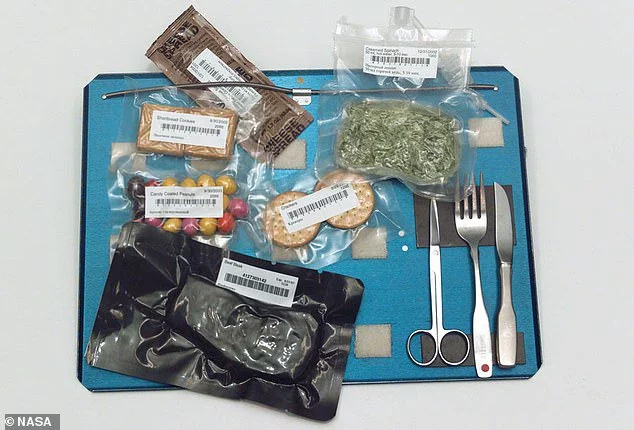 Astronauts' meals are dehydrated before they're sent into space. On the ISS, astronauts are able to add water and microwave them to bring them back to a normal consistency