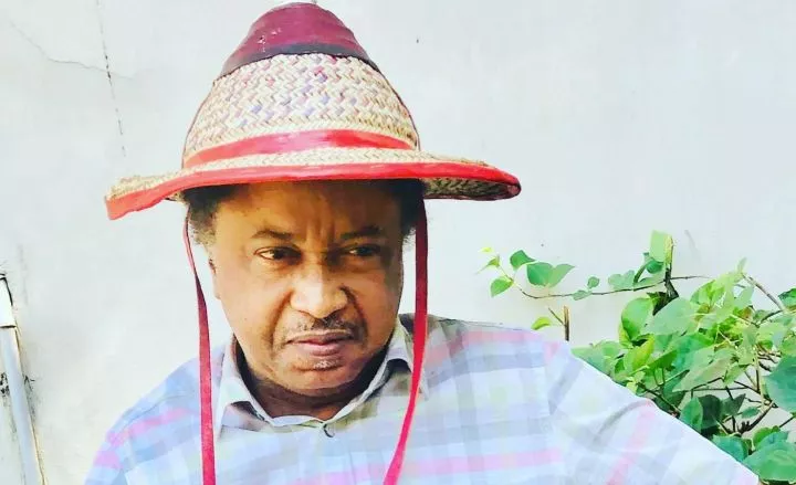 Requesting 'trillion' naira to count Nigerians total madness - Shehu Sani knocks NPC