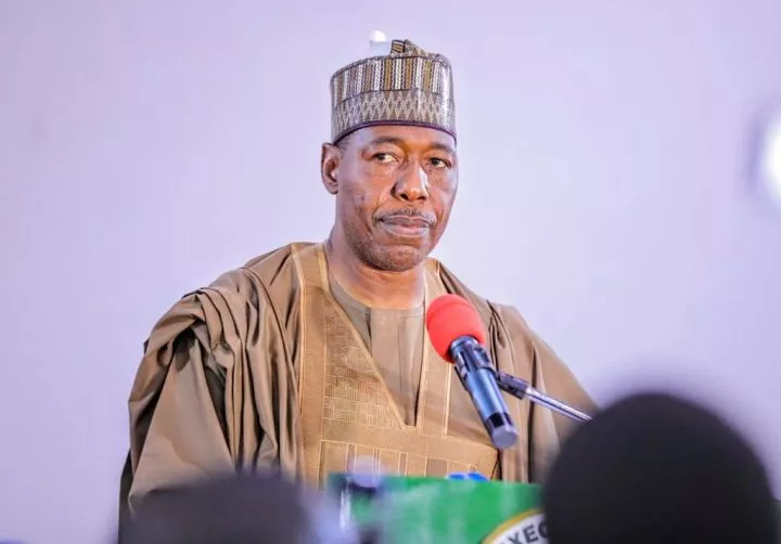 Only Lagos and Rivers will benefit from Tinubu's tax reform bills - Governor Zulum