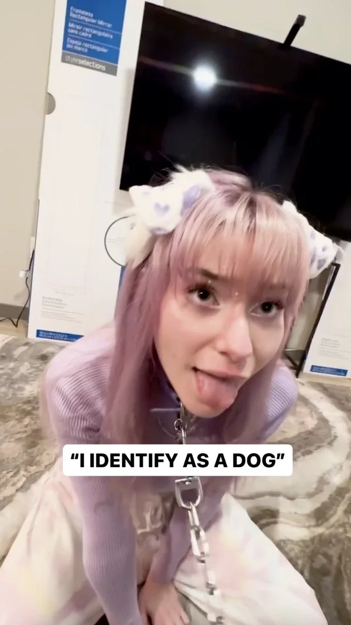 Meet the Woman who identifies as a dog, has a handler and sleeps in a crate (video)
