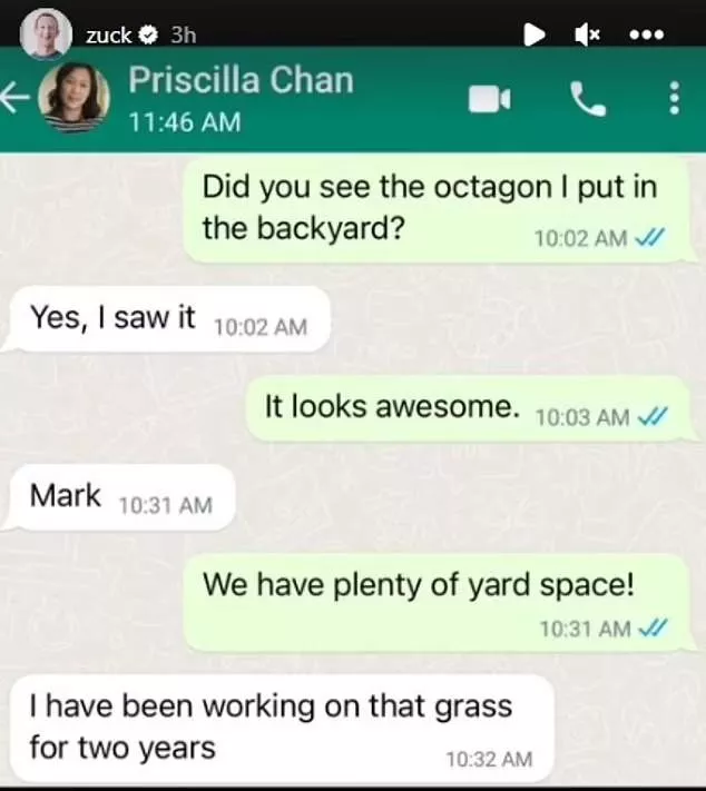 Mark Zuckerberg leaves his wife fuming after building an octagon in the backyard to prepare for potential billionaire bout with Elon Musk