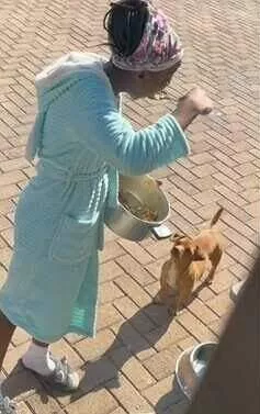 Mother catches daughter eating dog's food - Video