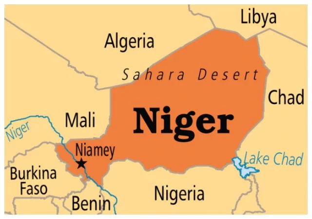 ECOWAS's Existence at Stake in Niger Crisis, expert warns