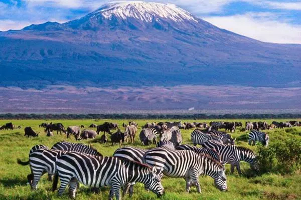 Top 10 tourist attractions in Africa, according to Americans