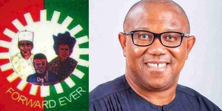 "Peter Obi remains the only presidential candidate" - Labour Party finally react to rumours of internal power tussle