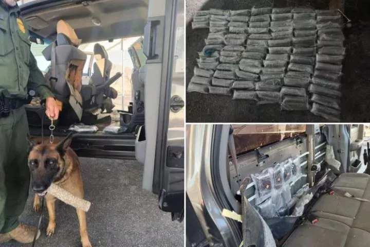Dog sniffs out $2M worth of fentanyl, enough to kill 48M people during traffic stop