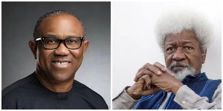 Peter Obi Did Not Win 2023 Presidential Election - Wole Soyinka