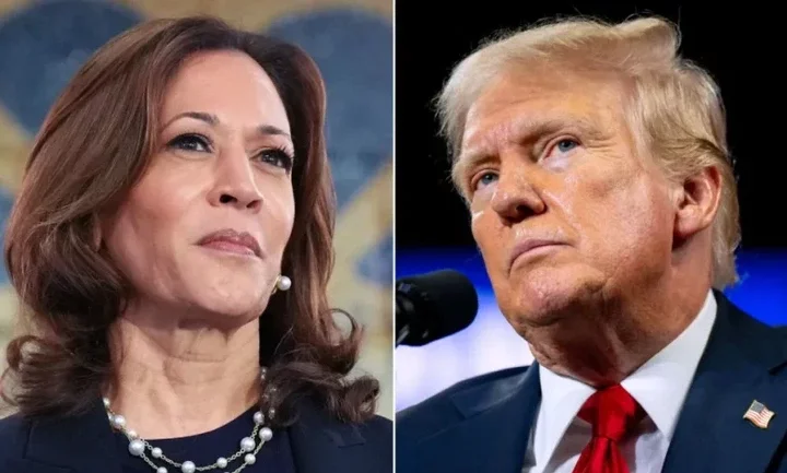 INEC declares Harris winner, tells Trump to go to court, netizens joke on U.S. election