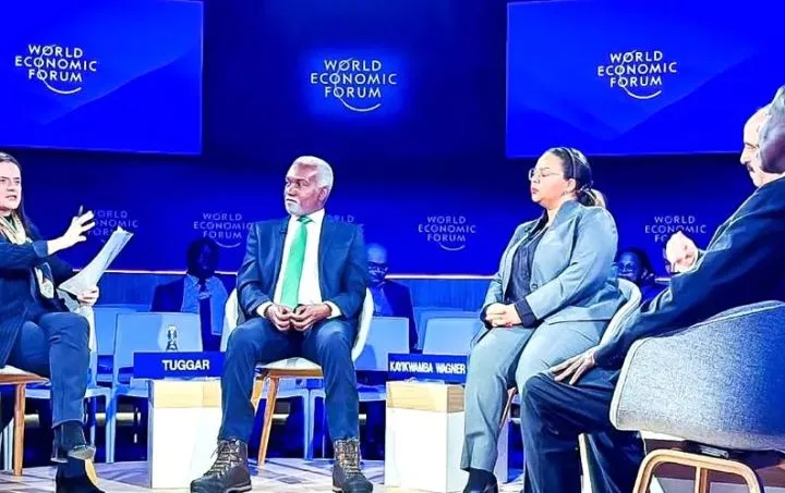 Nigeria makes case for UN Security Council seat at World Economic Forum summit