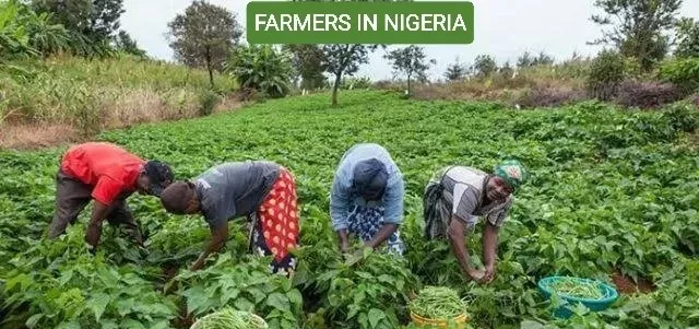 10 Richest Farmers in Nigeria (2025)