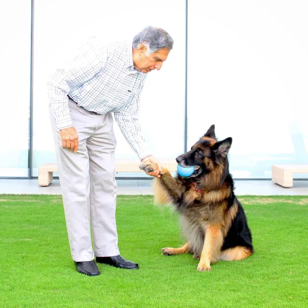 Indian Billionaire leaves large chunk of his £91million fortune to his DOG in his will