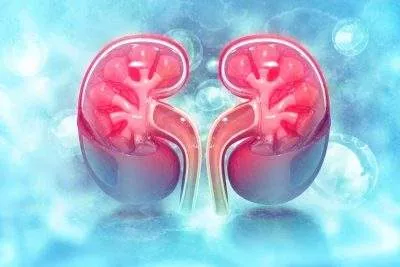 Our Children's Kidneys Removed Without Our Consent - Parents