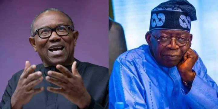 President Tinubu overfeeding Nigerians with wrong statistics from wrong unemployment figures - Peter Obi