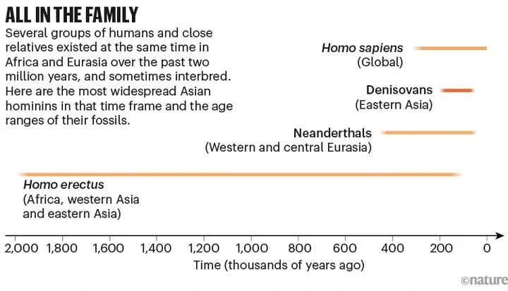 Who were the ancient Denisovans? Fossils reveal secrets about the mysterious humans