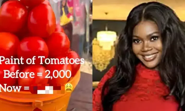 Nigerian chef breaks internet, reveals shocking cost of a pint of tomatoes