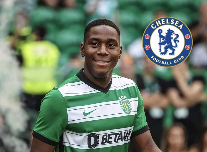 Dario Essugo Says Yes to Chelsea as Negotiations with Sporting Reach Advanced Stages