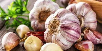 Garlic - Nature's antibiotic [Taste]