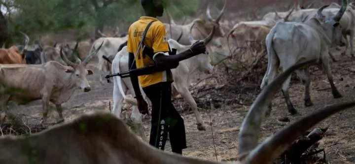 15 killed as suspected herdsmen attack Agatu in Benue