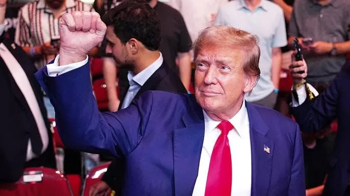 Donald Trump gets standing ovation at UFC tournament days after being convicted of crimes (video)