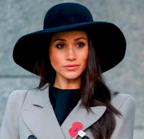 Netflix cancels Meghan Markle's new animated series which she hailed as 'special'
