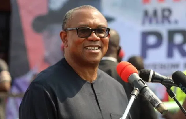 PEPC Verdict: We must not lose hope, Peter Obi Mandate Group tells Nigerians