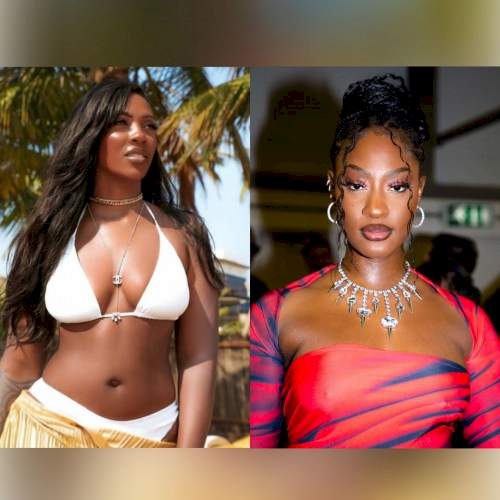 "If It Was Tiwa Savage That Wore This Dress, Nigerians Will Drag Her" - Reactions to Tems' Revealing Outfit (See Photos)