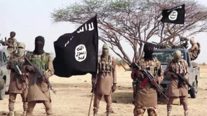 60 Boko Haram, ISWAP fighters killed in renewed clashes