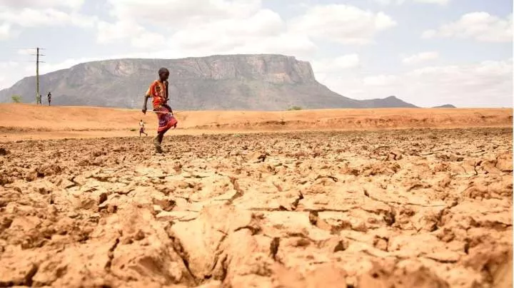 Global bodies issue drought alert in Horn of Africa