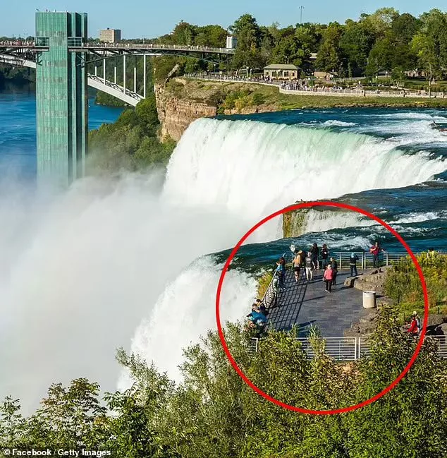 Update: Heartbreaking reason why mom jumped off Niagara Falls with�her�two�kids revealed