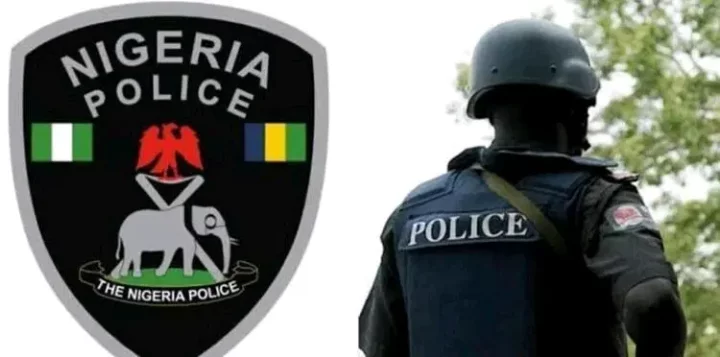 21-year-old female arms runner arrested with 481 rounds of ammunition in Nasarawa 21-year-old female arms runner arrested with 481 rounds of ammunition in Nasarawa