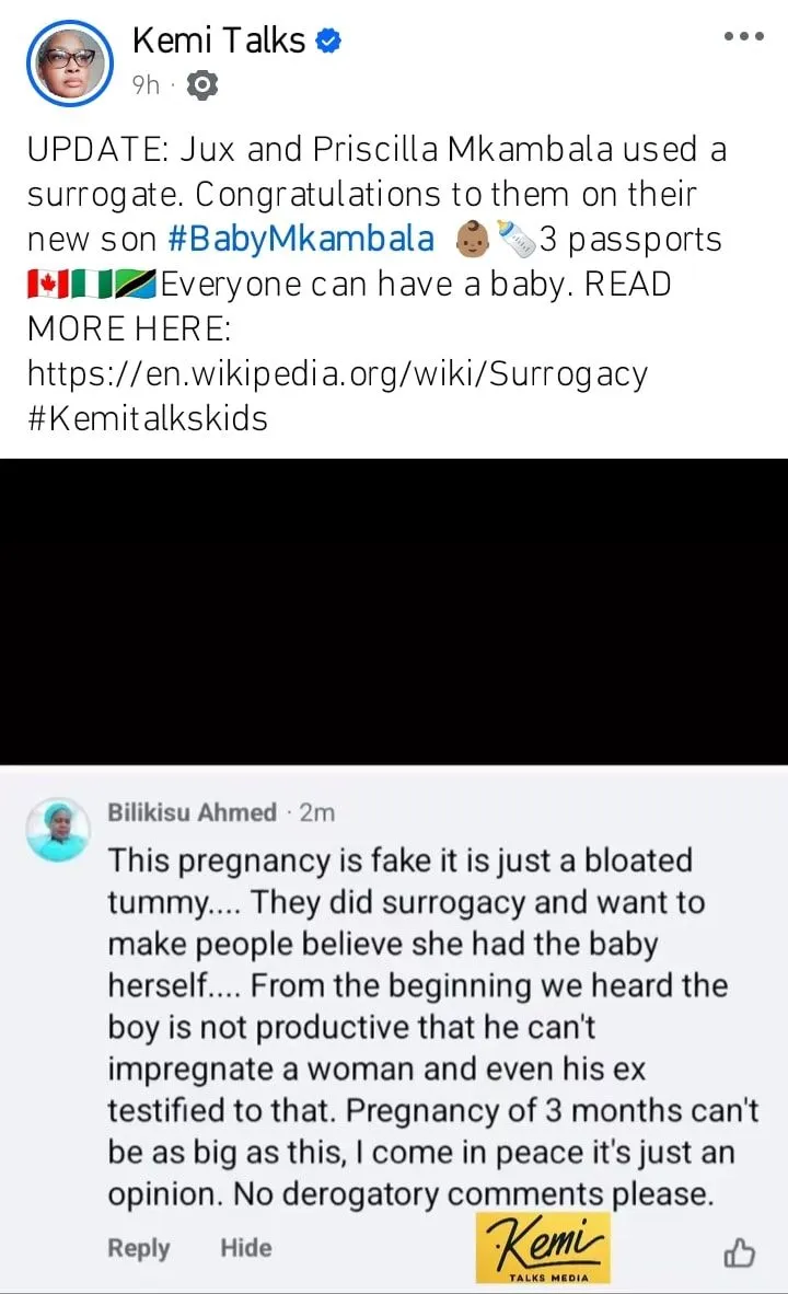 Kemi Olunloyo alleges Priscilla Ojo used surrogate for newborn child