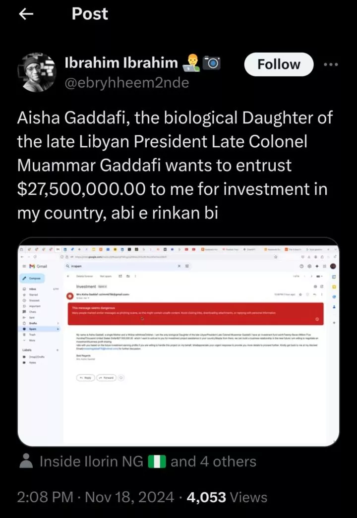 Man shocked as Gaddafi's alleged daughter set to entrust him with $27.5M for investment, shares screenshot