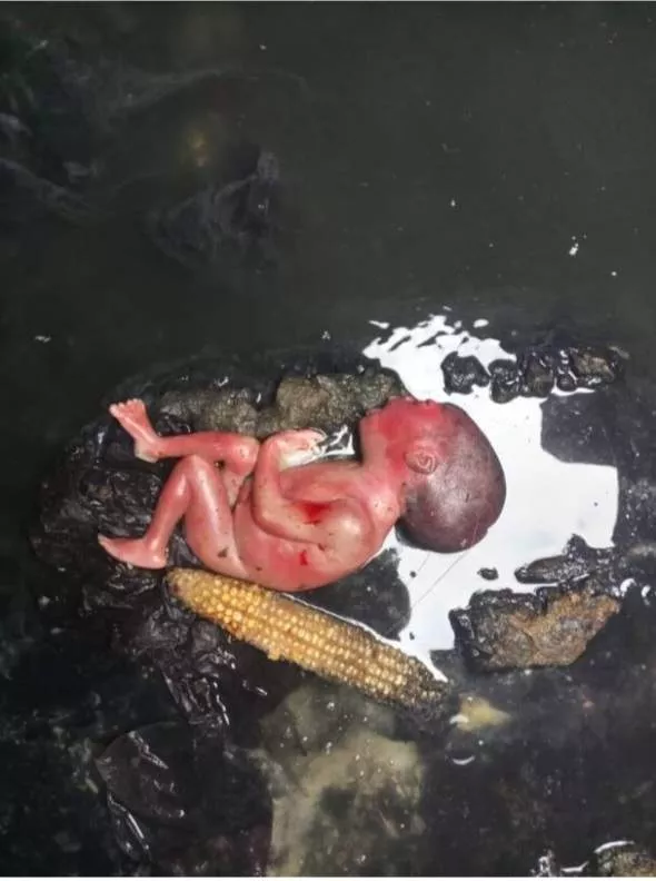 Day-old baby found in manhole in Port Harcourt (viewer