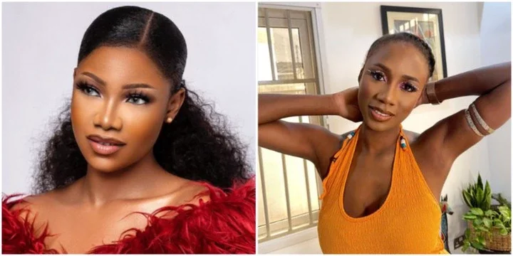 Tacha loses cool as troll brands her and Korra Obidi as the most foolish celebrities