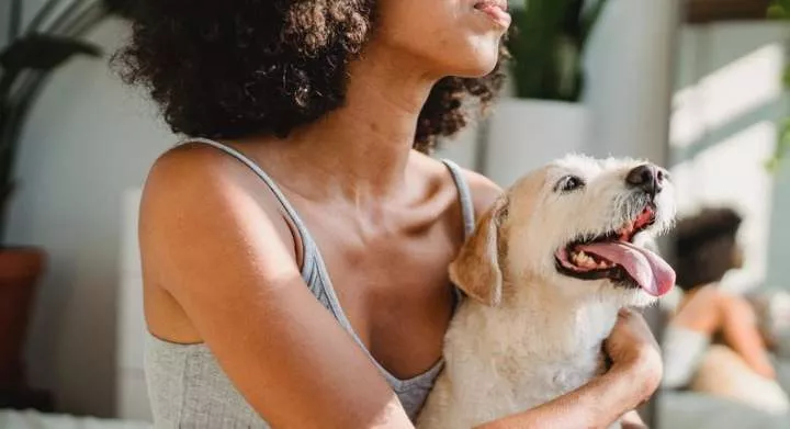 Can you catch herpes from your pets?