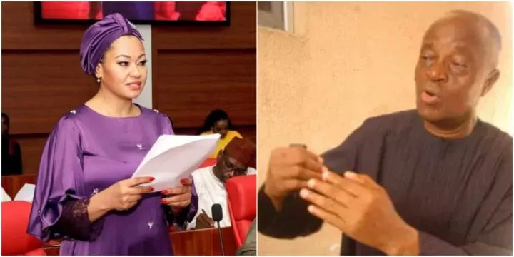 "Natasha's beauty is a problem for her" - Ex-minister Ogunlewe