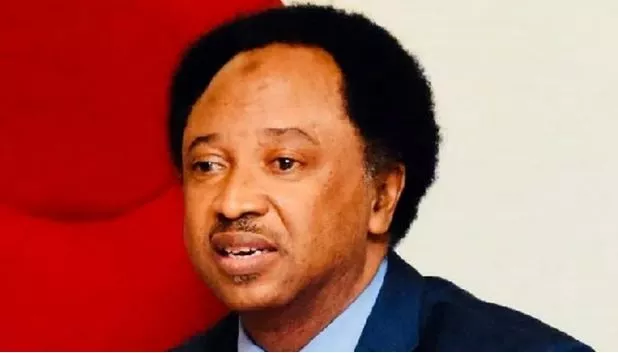 Match Through the Mud - Shehu Sani Tells Tinubu to Visit Niger Flood Victims