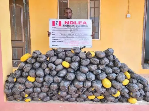 NDLEA Arrests Two Octogenarians, Intercepts N3.2bn Opioids in Port Harcourt (Photos)