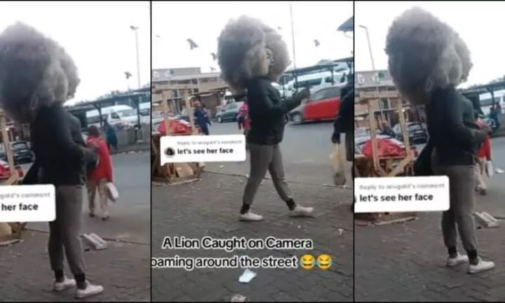 'This country don tire me' - Lady storms main road with Afro hairstyle, video trends