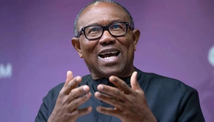 FG's Profligacy Doesn't Reflect Nation's Financial Crisis - Peter Obi