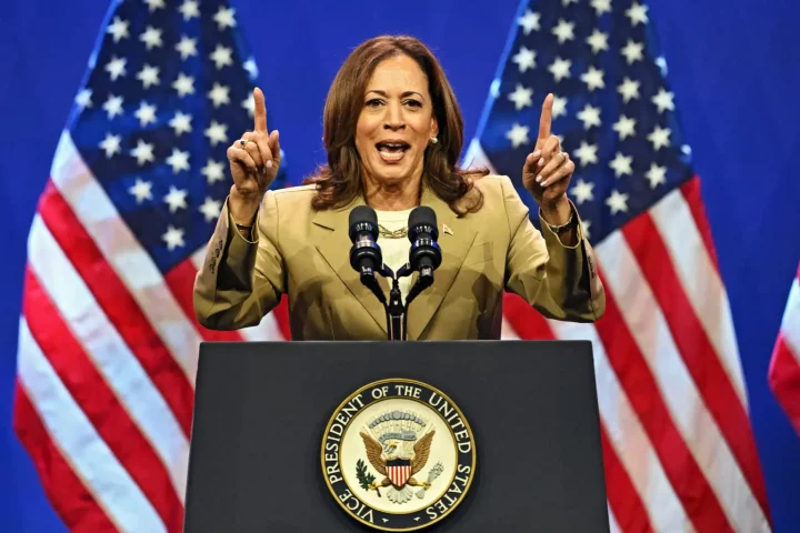 US election: Kamala Harris leads Trump in new poll after Biden's exit