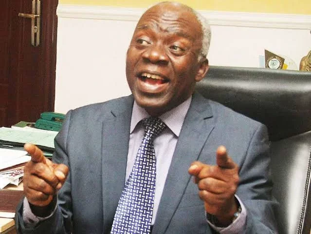 Protest: No Reasonable Nigerian Would Go Out To Damage Gov't Property - Femi Falana