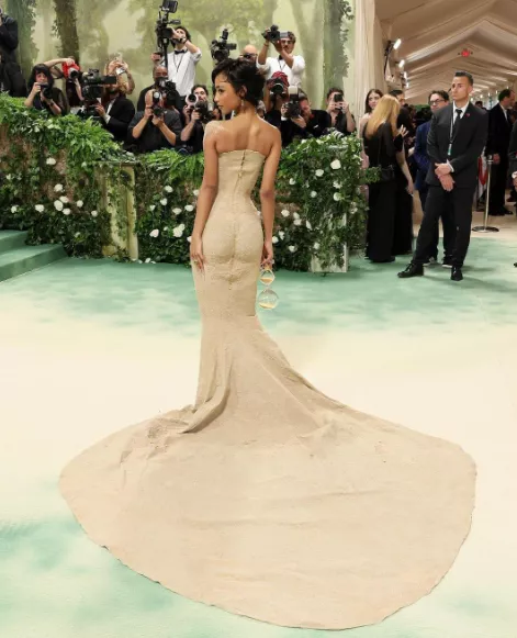 5 men carry Tyla up the stairs at Met Gala due to delicate dress (photos/video)