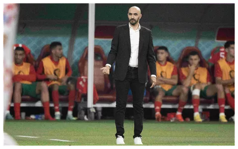 Egypt head coach Regragui -- Imago