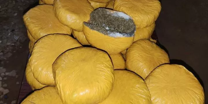 Nigerian Police Bust Drug Trafficking Syndicate In Anambra, Arrest Six Suspects Nigerian Police Bust Drug Trafficking Syndicate In Anambra, Arrest Six Suspects