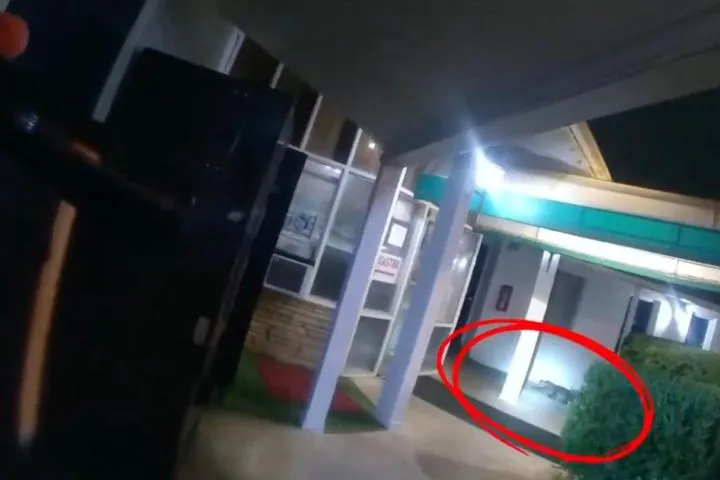 Motel guests shocked to find 6-foot alligator strolling along corridor of property