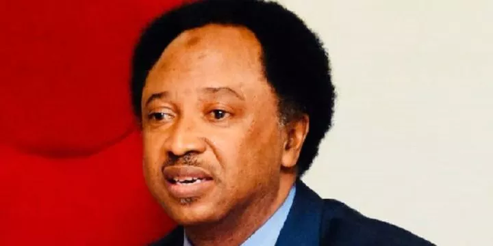 Shehu Sani sends message to Nigerians hiding in US