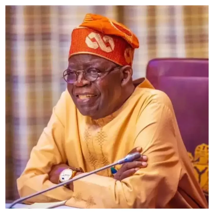 People will insult me, but I know what it takes to build a nation - Tinubu