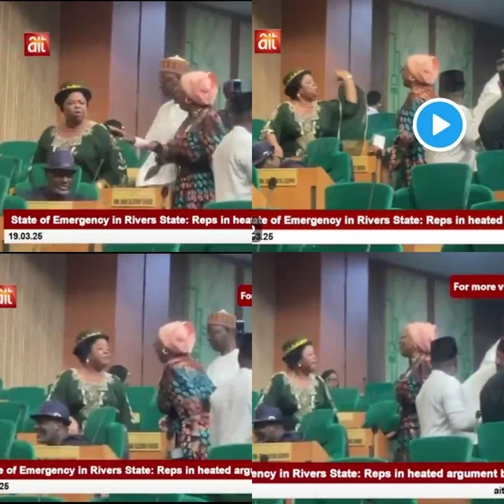 "It Was Wike, He Is Selfish, Common Go and Rest"- Video Of 2 Female Lawmakers Exchanging Words Surface